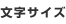 文字サイズ